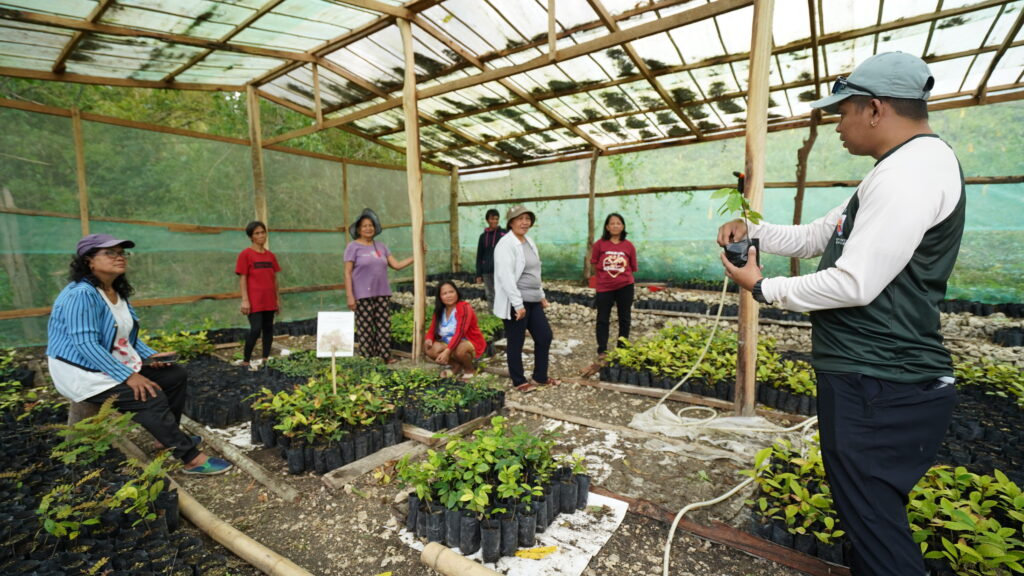 Reforestation activities
