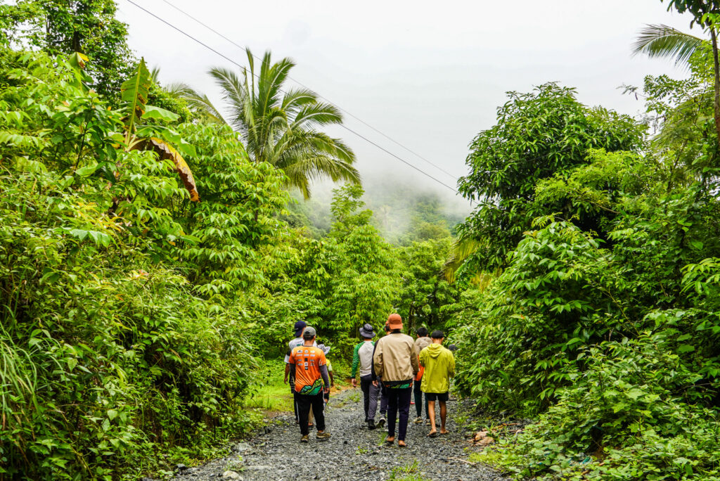 People walking along a trail in the forest.